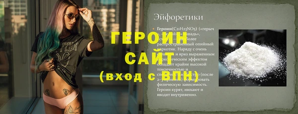молекула духа Богданович