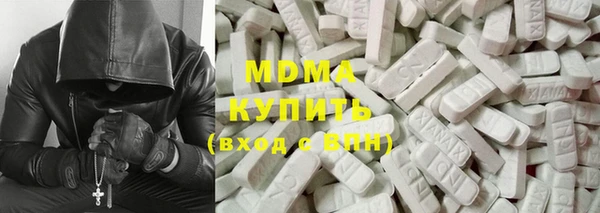 молекула духа Богданович