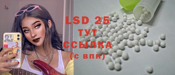 молекула духа Богданович