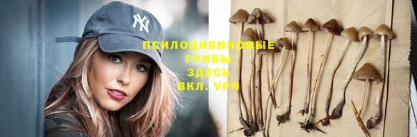 молекула духа Богданович