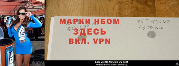 молекула духа Богданович