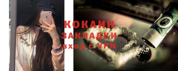 молекула духа Богданович