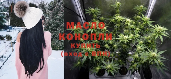 индика Богородицк