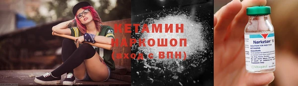 индика Богородицк