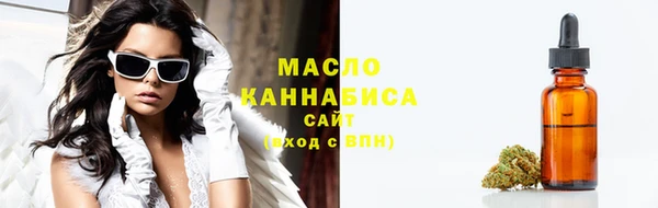 молекула духа Богданович
