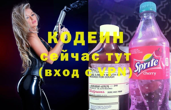 индика Богородицк