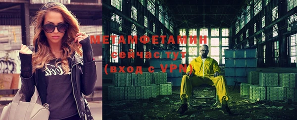 индика Богородицк