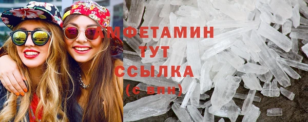 индика Богородицк