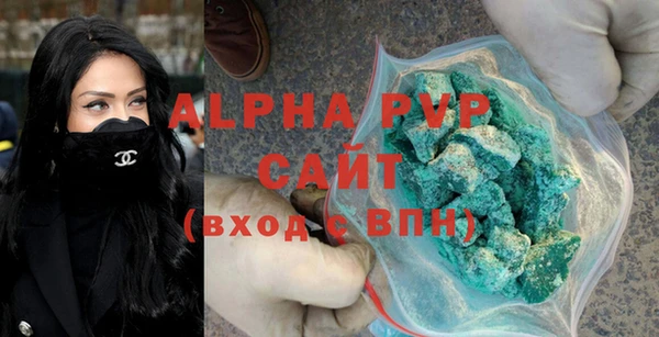 индика Богородицк