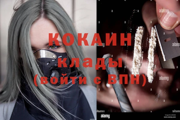 молекула духа Богданович