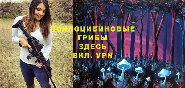 молекула духа Богданович