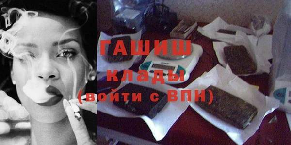 молекула духа Богданович