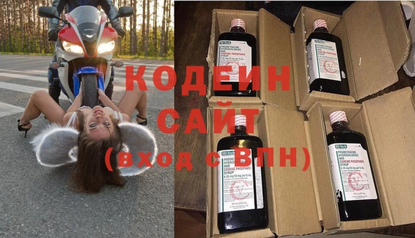 индика Богородицк