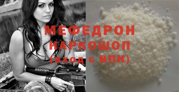 индика Богородицк
