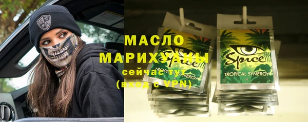 индика Богородицк