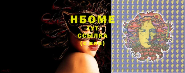 индика Богородицк