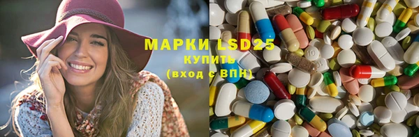 индика Богородицк