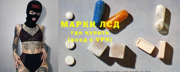 молекула духа Богданович